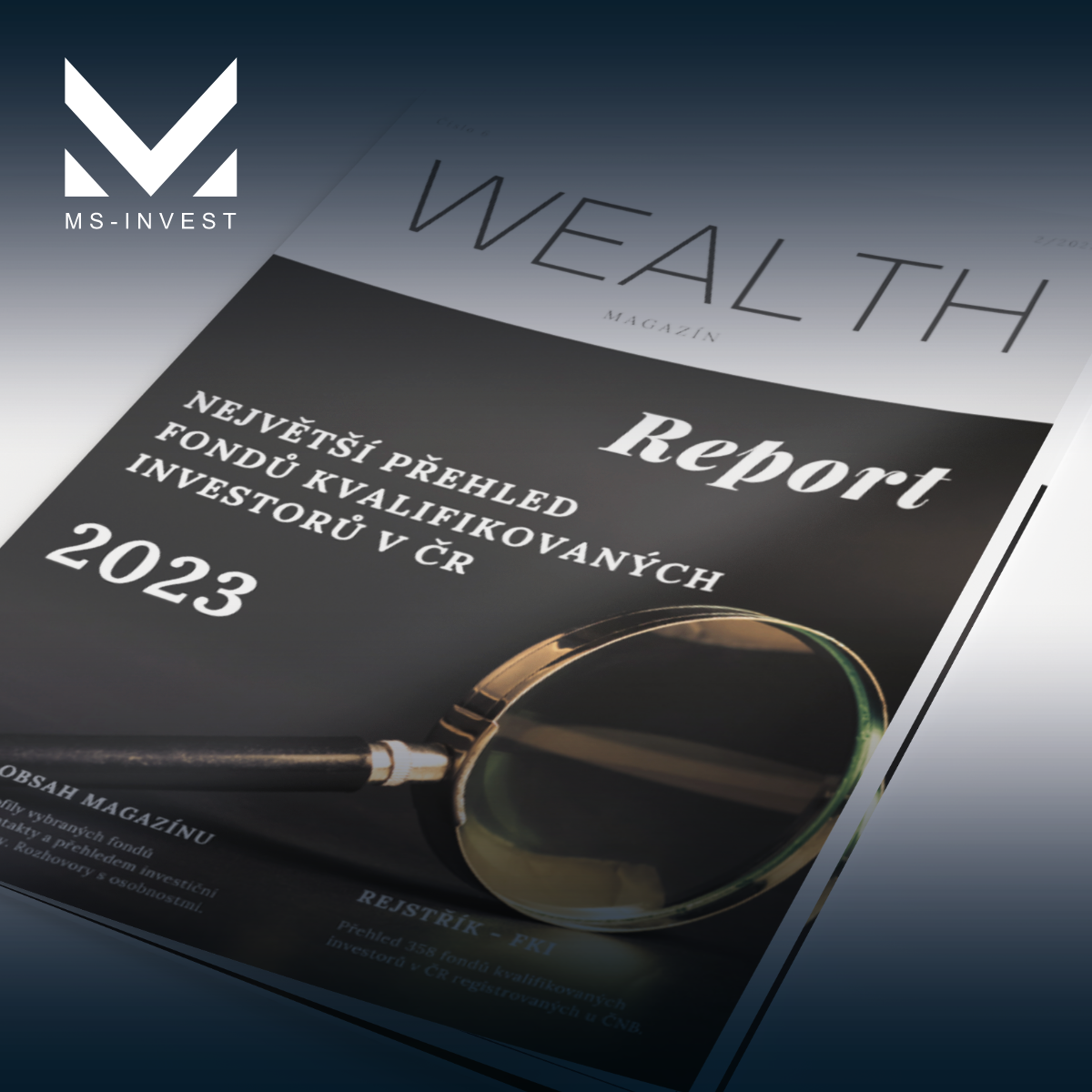 Report Wealth Magazínu