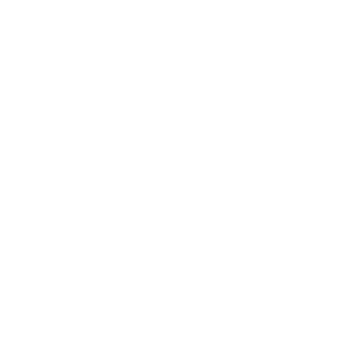 MSI Capital